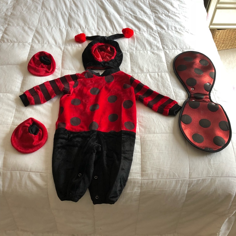 Ladybug costume